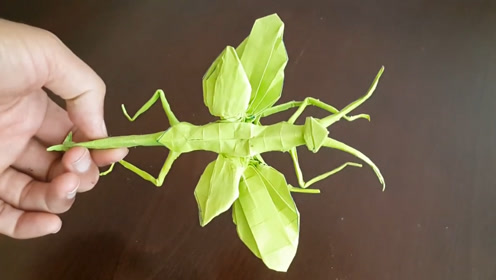 折纸王子折纸螳螂图片