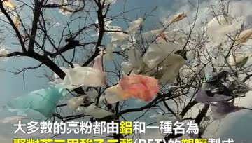 科学家呼吁全球禁用亮粉、柔珠