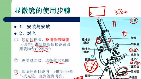 苏科版七年级生物上册第2单元 生物从环境中获取物质和能量第6章 能量与呼吸