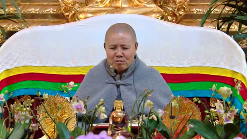 圣空法师讲故事:南泉禅师竟然把猫灌死了?