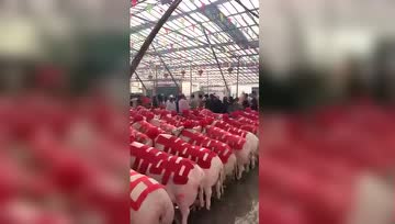 上天有好生之德，不可能乐见这样的场面