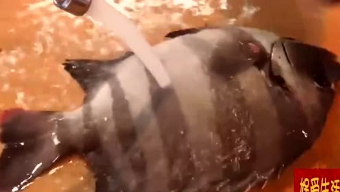 腾讯视频