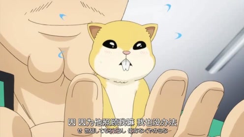燃堂力 腾讯视频
