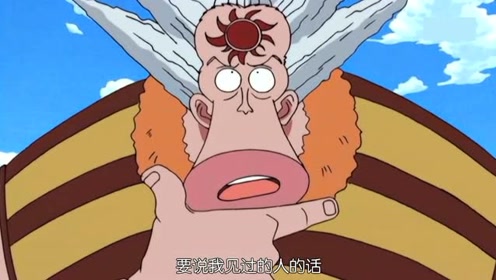 海贼王:章鱼小八事后才反应过来那人是索隆,阿龙:你不是见过吗