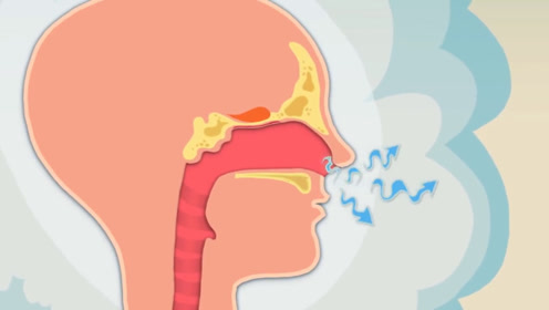 人类一个鼻孔就能呼吸,为什么还要长两个鼻孔?万没想到