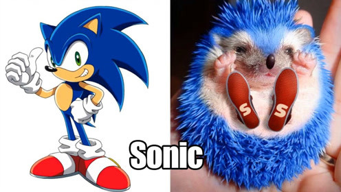 我玩着玩着竟然害怕了,毁童年啊上传者:阿虚kurv时 间:2021-01-13这