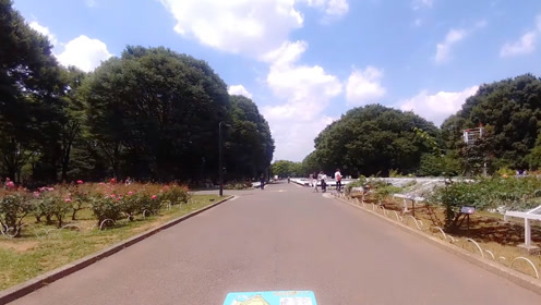 原宿文化 腾讯视频