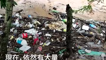 触目惊心：摄影师拍到小海龟在漂满塑料垃圾的海面挣扎