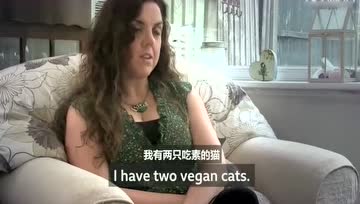 你家的猫可以吃素吗？这是一个有争议的问题