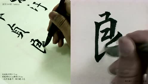 貞潔樹 腾讯视频