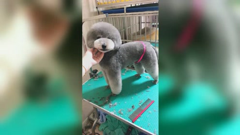 腾讯视频