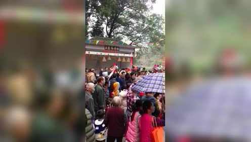 赤髭白足 腾讯视频