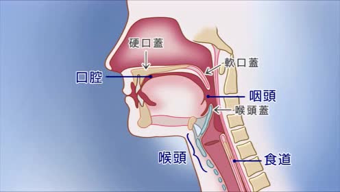 正确的吞咽 腾讯视频