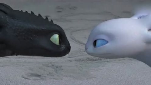 小黑龙求爱,小白龙一伸手,发脾气时小黑龙立马就怂了!表情妻管严