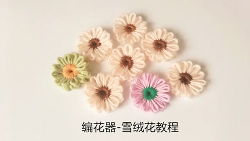 コレクション魚編花