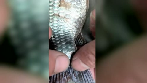 腾讯视频