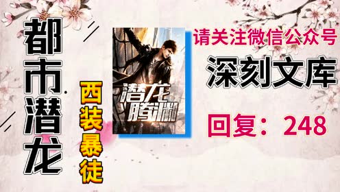 都市潜龙赵东苏菲西装暴徒免费阅读全文无广告
