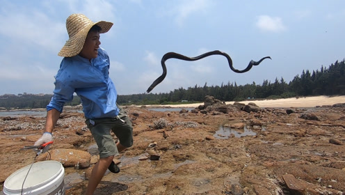 近看吓一跳,抓价值三百元的大货时 间:2020-04-21上传者:渔民阿平简