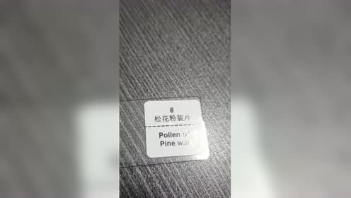 松花粉面膜 腾讯视频