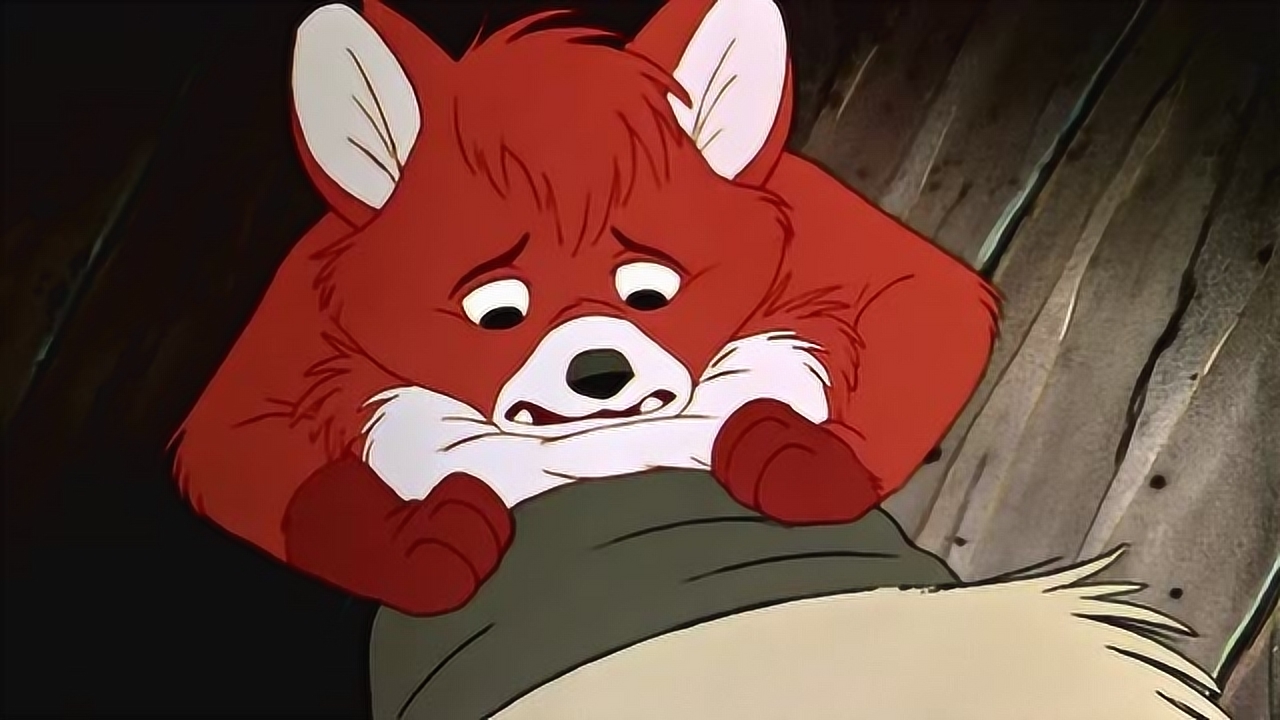 狐狸与猎狗:老大发现小狐狸,快跑啊陶德