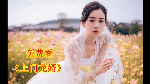 上门龙婿叶辰萧初然完整版电视剧59集全 正版大结局