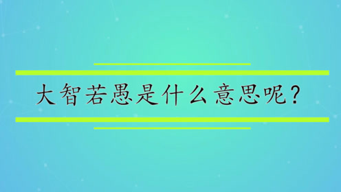 成语大智若愚 腾讯视频