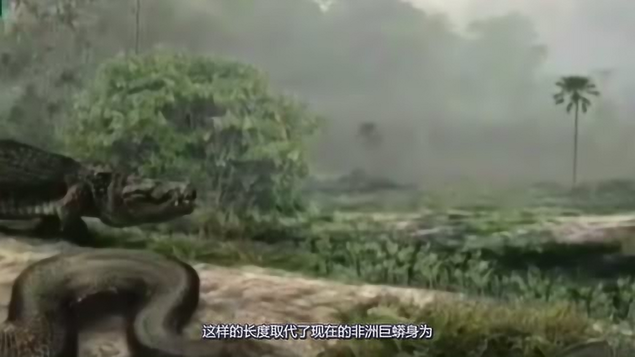泰坦蟒(蚺科泰坦巨蟒属动物)_搜狗百科