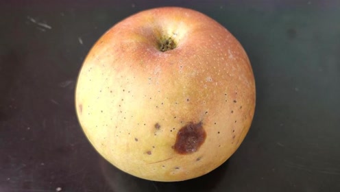 苹果只烂了一个小口,老人都说可以吃,得知真相后赶紧扔掉!