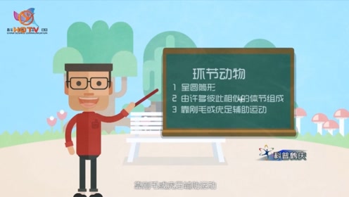 环形动物 腾讯视频