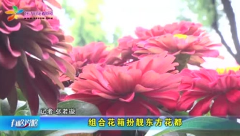 东方花都 腾讯视频