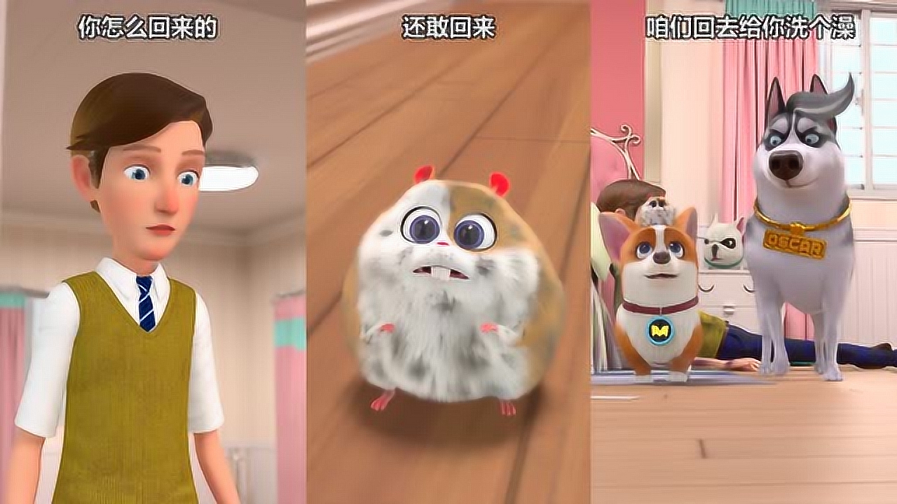 飞狗moco:欺负我们的十秒,我们绝不原谅!