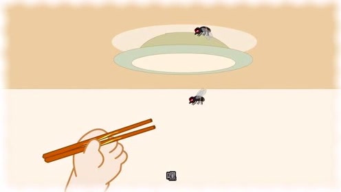 四狗苍蝇球 腾讯视频