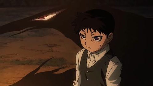 钢之炼金术师:没想到吧,塞利姆这个小朋友是普莱德吧!