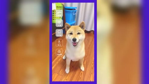 腾讯视频