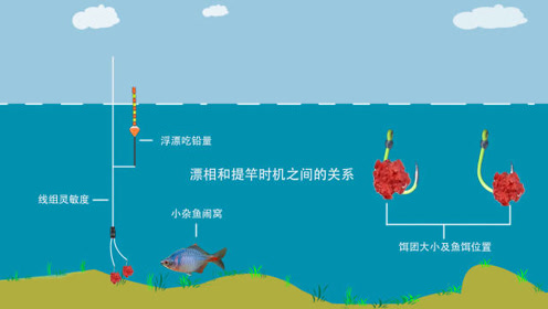 漂相和提竿时机之间的学问不简单