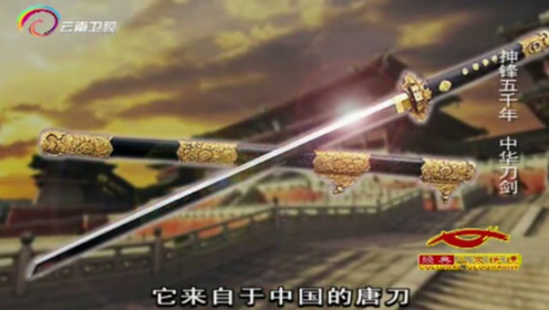 武士纹身 腾讯视频
