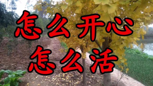 一首《怎么开心怎么活》唱的太好了,句句大实话