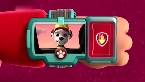 汪汪队:海盗席德肆意掠夺别人的东西,见到好看的都想拿走,真是可恶