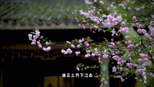 腾讯视频