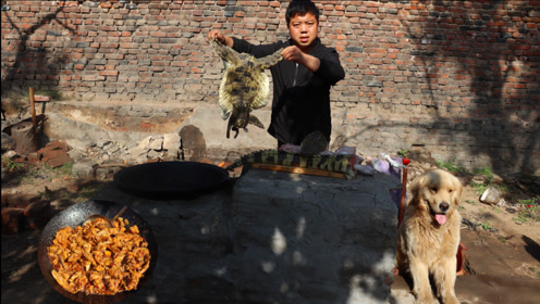 农村 生活 鳄鱼 偷吃 金毛 欺负 零食 萌宠上传者:小虎走乡村时 间