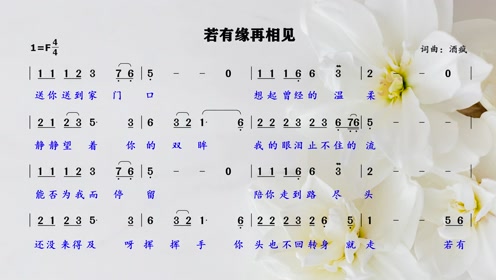 《若有缘再相见》歌词领唱,让零基础初学者轻松学习,愉快歌唱!