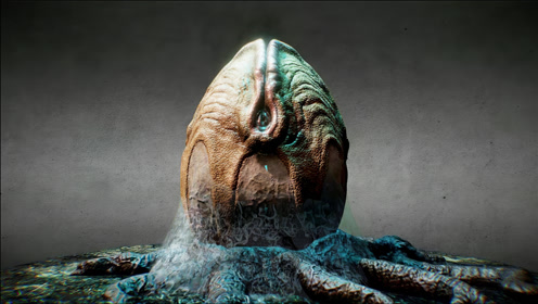 "蛋形虫"的故事!