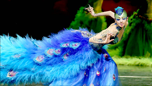 杨丽萍发布小侄女跳《雀之灵》的画面 舞蹈风范传承实在太惊艳了