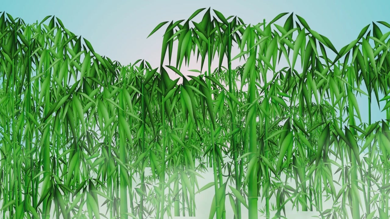中国风竹林背景视频素材