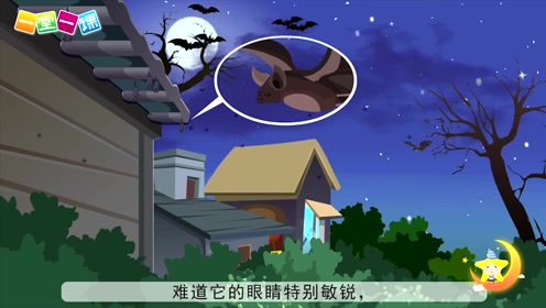 四年级上册《夜间飞行的秘密》小学语文同步精品课文动画,预习教辅