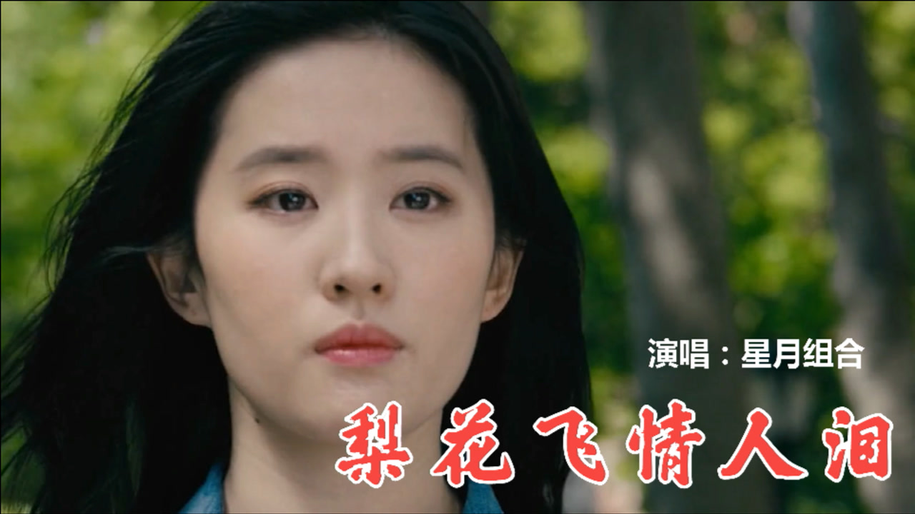 星月组合的《梨花飞情人泪》唱哭了多少有情人?歌声柔美,听醉了