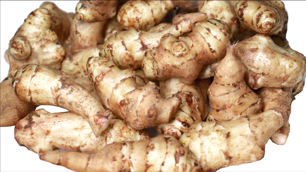 洋生姜 搜狗百科