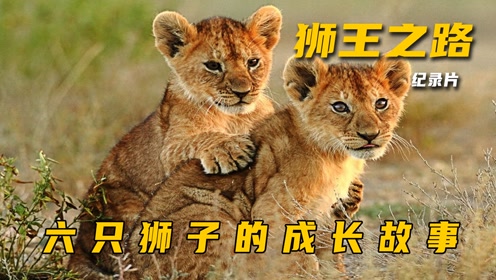 草原七雄狮联盟图片