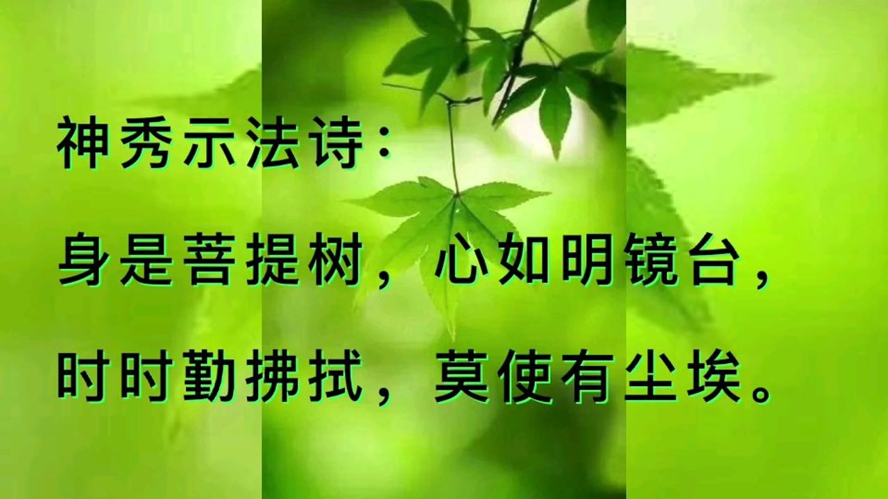 中国最美禅诗