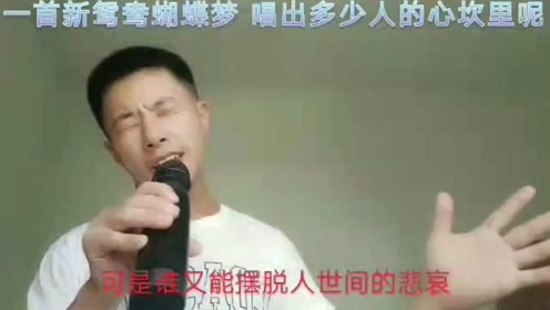 新鸳鸯蝴蝶梦纯音乐曲谱_新鸳鸯蝴蝶梦曲谱(4)